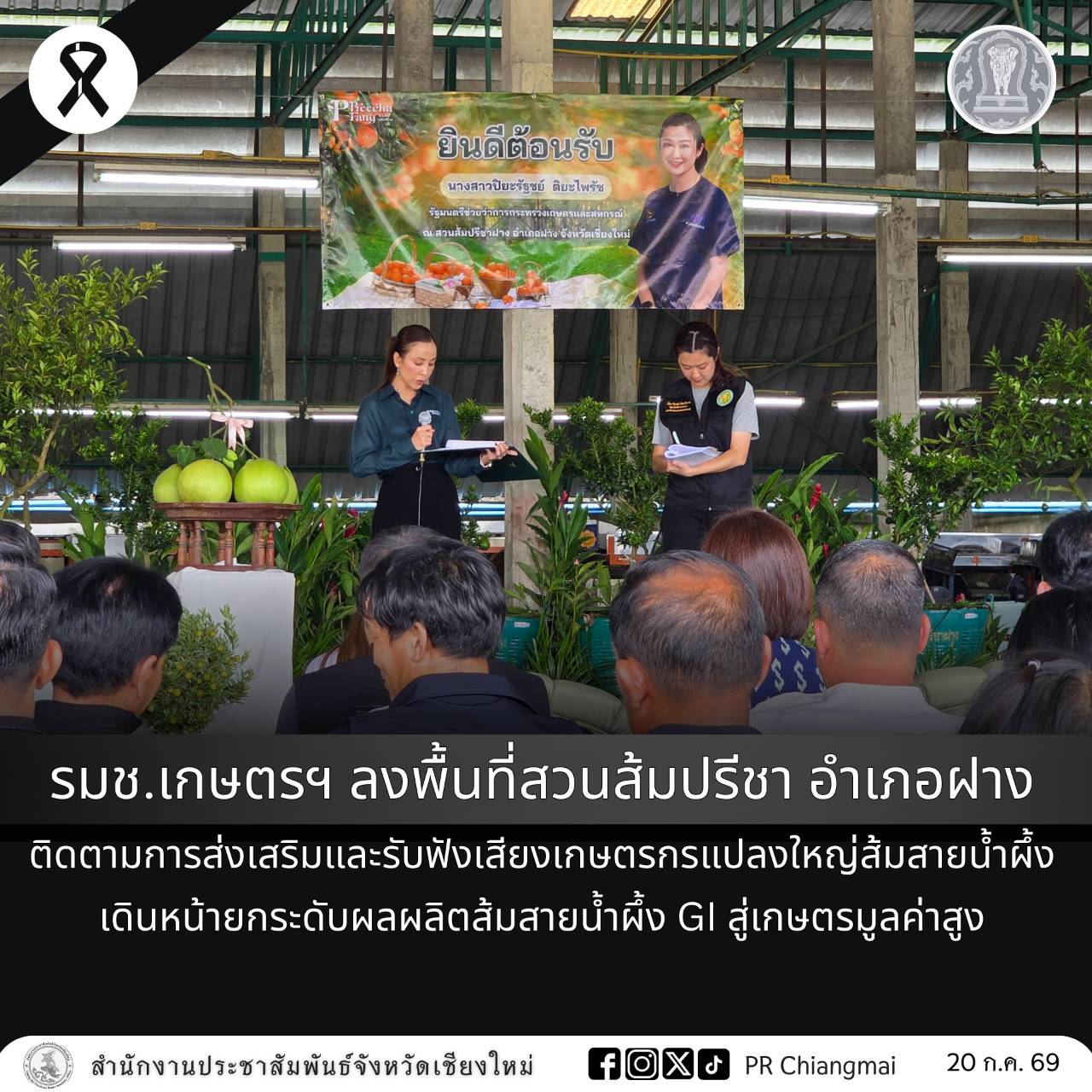 รมช.เกษตรฯ ลงพื้นที่สวนส้มปรีชา อำเภอฝาง ติดตามการส่งเสริมและรับฟังเสียงเกษตรกรแปลงใหญ่ส้มสายน้ำผึ้ง เดินหน้ายกระดับผลผลิตส้มสายน้ำผึ้ง GI สู่เกษตรมูลค่าสูง