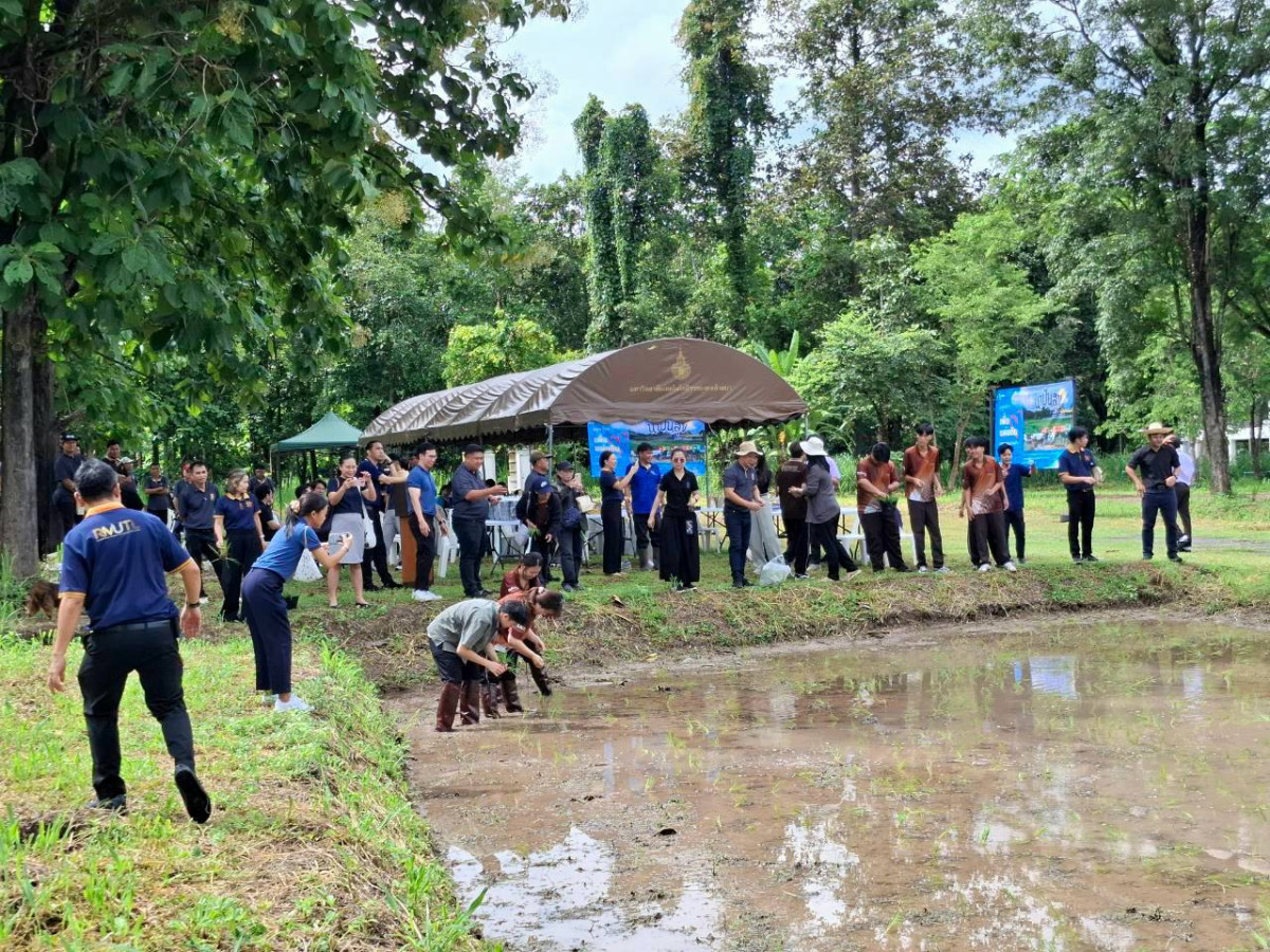มทร.ล้านนา สืบสานศาสตร์พระราชา จัดกิจกรรม &ldquo;ราชมงคลร่วมใจ นาปันสุข ปลูกข้าวเพื่อแผ่นดิน&rdquo; ประจำปี 2569 มุ่งขับเคลื่อนศูนย์เรียนรู้เศรษฐกิจพอเพียง